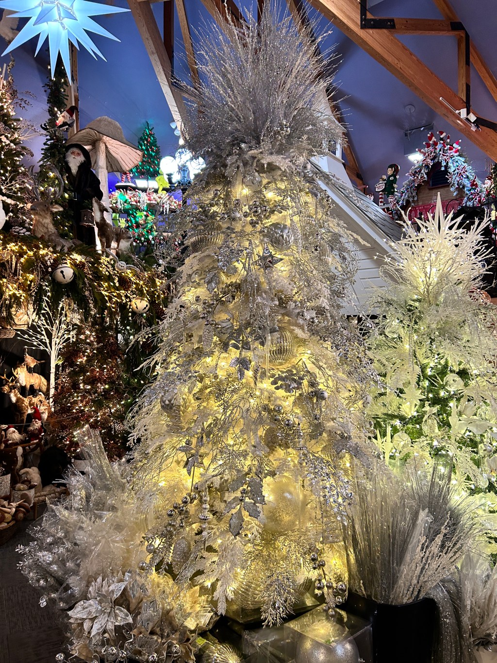 The Promise of&nbsp;Christmas